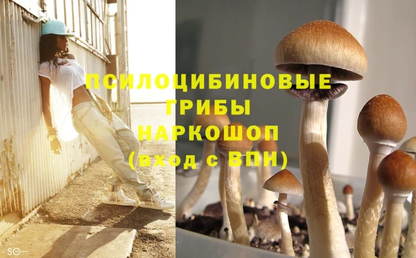 mdpv Балахна